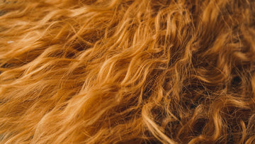 hair loss concealer